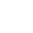 Enterprise-Grade Security